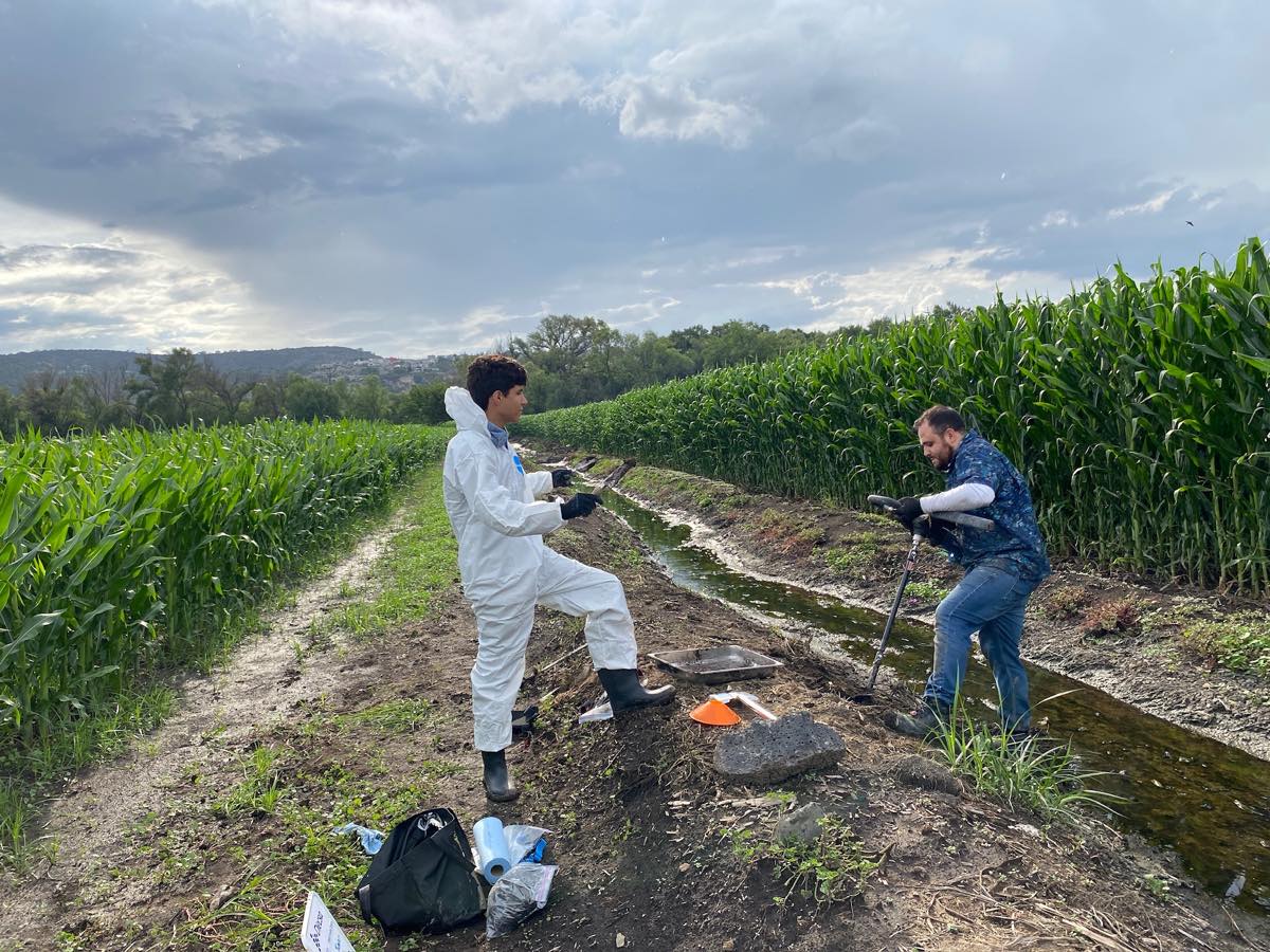Muestreo en campo — Estudios Ambientales