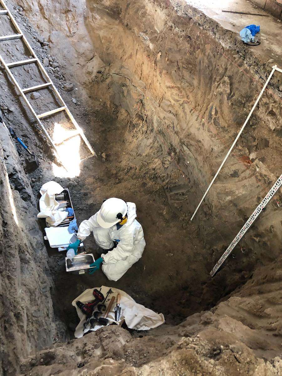 Trabajo de campo en excavación — Estudios Ambientales